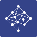 Network Perspective